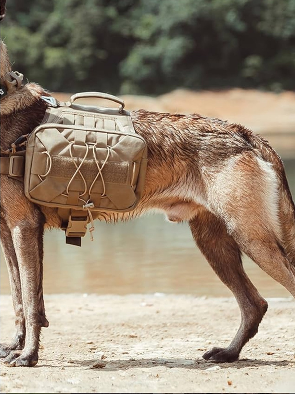 EXCELLENT ELITE SPANKER Dog Pack Saddle Bag Backpack Tactical Camping Hiking